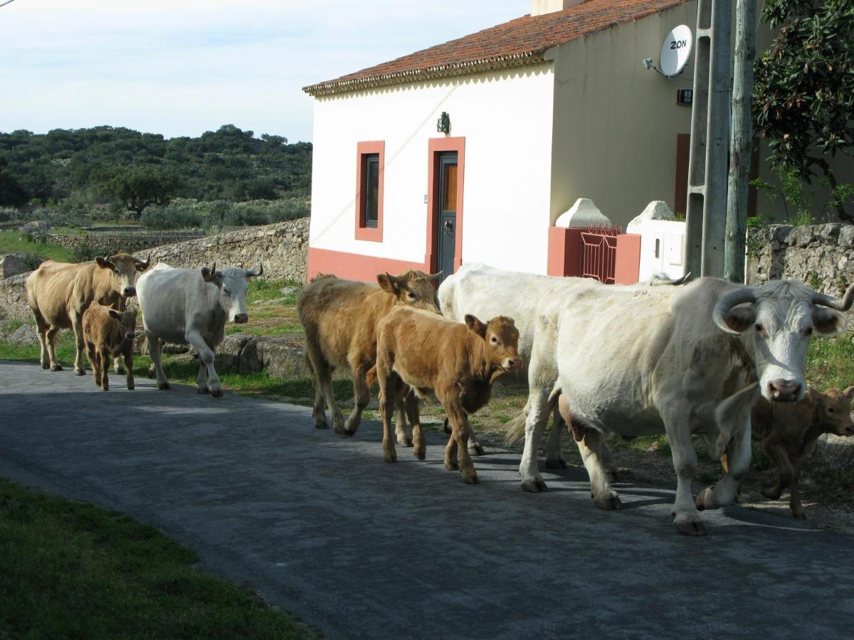 Casas Da Estacao, Country Houses Marvão Pokoj fotografie